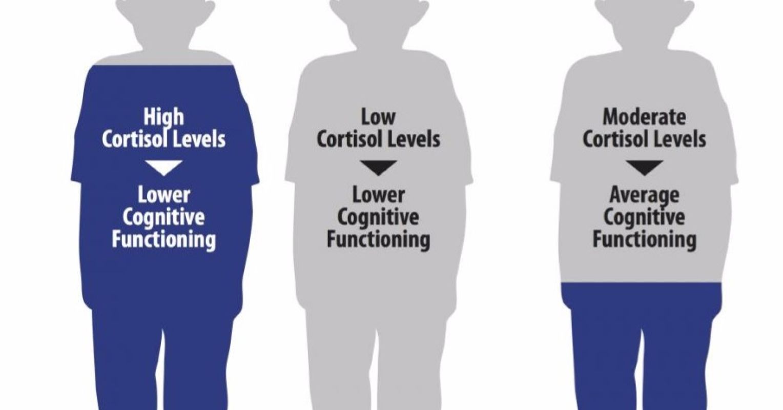 How Do Various Cortisol Levels Impact Cognitive Functioning
